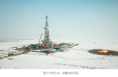 /youqizixun/5563.html