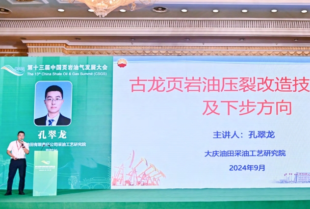 大慶古龍頁(yè)巖油開(kāi)發(fā)進(jìn)展