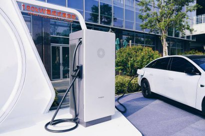 /youqizixun/8148.html