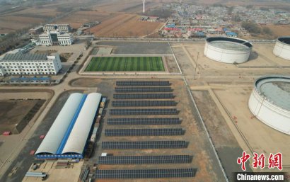 /youqizixun/8361.html