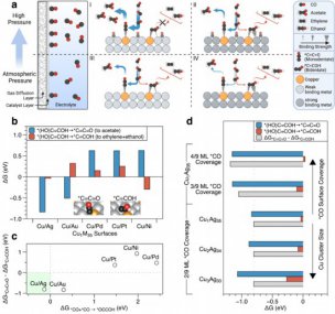 /youqizixun/8363.html