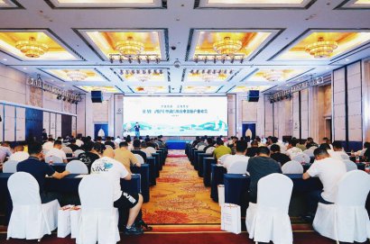 /youqizixun/8713.html